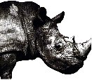 MR.CHILDREN 1992-1995